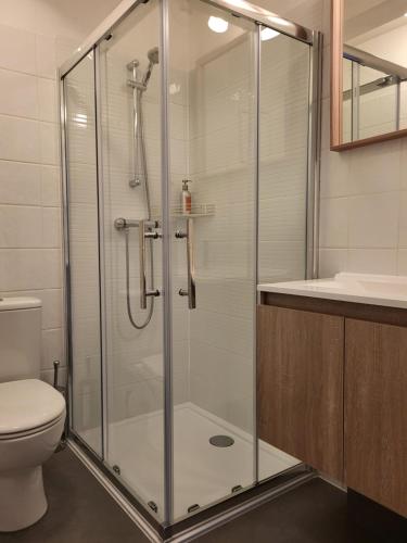 a bathroom with a shower with a toilet and a sink at Chalet Solneige in Vaujany