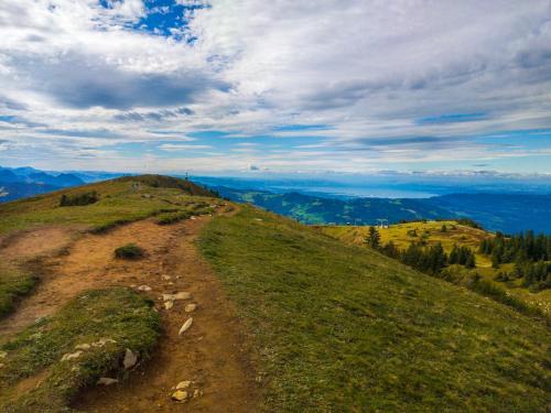 a dirt road on top of a grassy hill at Löchle. Ferienhütte im Bregenzerwald, Andelsbuch in Andelsbuch