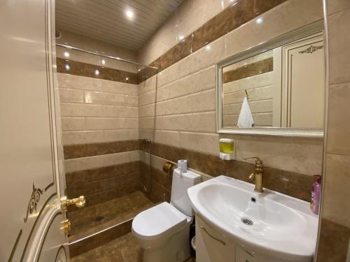 La salle de bains est pourvue de toilettes, d'un lavabo et d'un miroir. dans l'établissement Luxury 5 bedroom Property in the centre, à Erevan