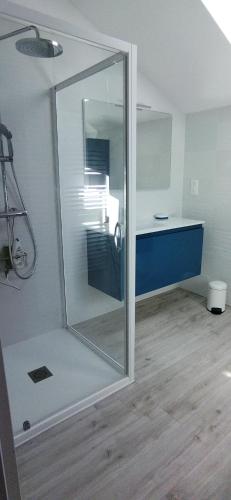 une douche avec une porte vitrée dans une pièce dans l'établissement LOU COUCUT, à Dolmayrac