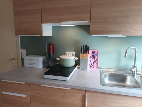 a kitchen counter with a mixer and a sink at De Dackluuk in Wittmund