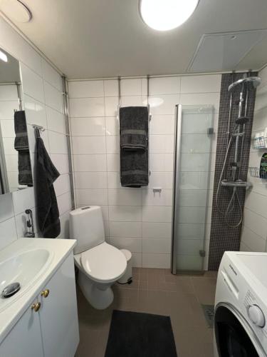 赫爾辛基的住宿－Kaksio Helsingissä omalla parkkipaikalla，浴室配有卫生间、盥洗盆和淋浴。