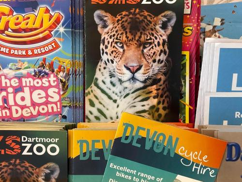 a jaguar sitting on top of some books at Ashton Court Hotel in Exmouth
