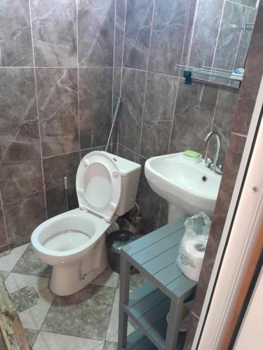 La salle de bains est pourvue de toilettes et d'un lavabo. dans l'établissement Riveside, à Martvili