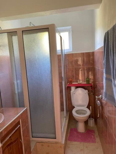 a bathroom with a toilet and a glass shower at Panorama Villa in La Gaulette