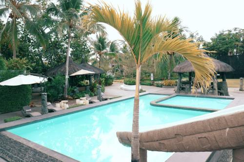 a large swimming pool with a palm tree next to it at Maria Aliyah Events and Resort in Santa Cruz