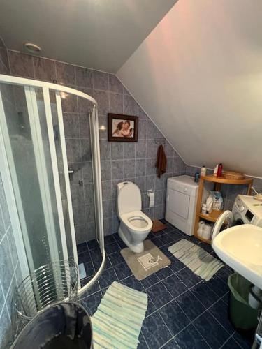 a bathroom with a shower and a toilet and a sink at Old Town appartment with Sauna. in Kuressaare