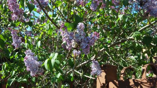 B&B La Magnolia – Photos 2