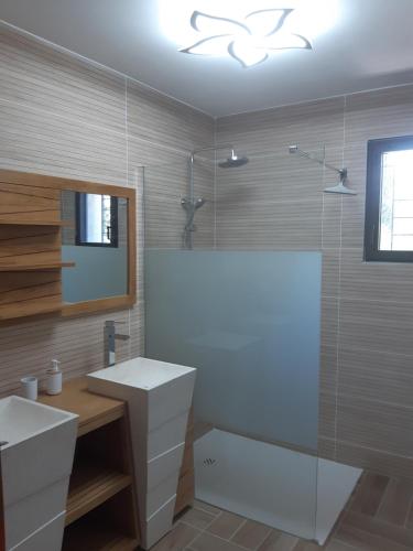 une salle de bain avec une douche, un lavabo et un miroir dans l'établissement L arbousiere, à Sagriès