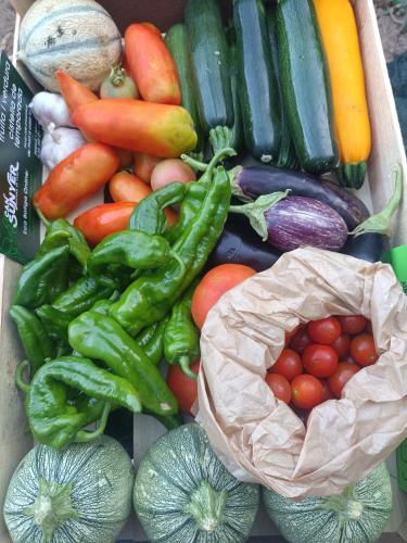 a box filled with lots of vegetables on a table at MASIA CAN SUNYER AGROTURISMO in La Garriga