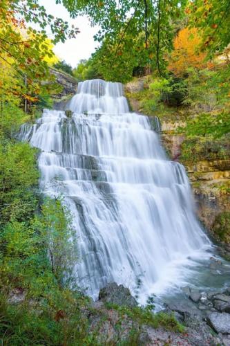 una cascada en medio de un bosque en Charmant Studio idéalement situé, en Morez