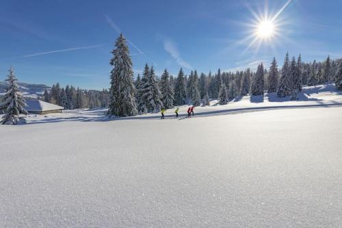 eine Gruppe von Personen, die auf einer schneebedeckten Piste Ski fahren in der Unterkunft Charmant Studio idéalement situé in Morez