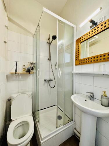 a bathroom with a shower and a toilet and a sink at Hotel Le Midi Clermont-Cournon in Cournon-dʼAuvergne