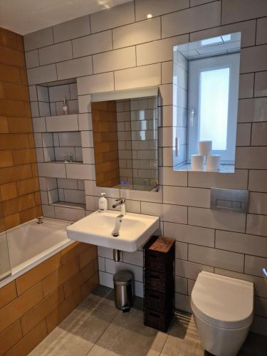 a bathroom with a sink and a toilet and a mirror at Modern two bedroom house 