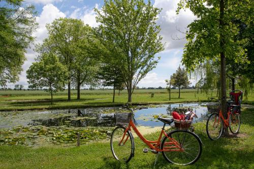 two bikes parked in the grass next to a pond at Ancora Sport Resort Hotel in Meolo