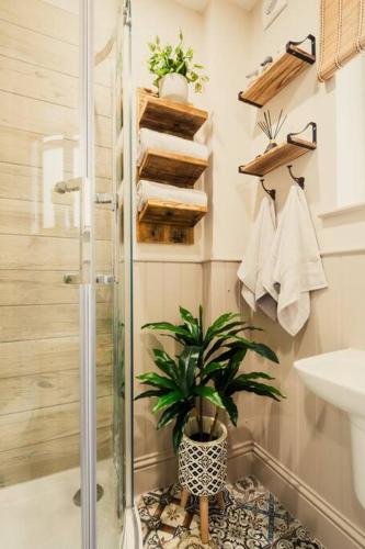a bathroom with a shower and a potted plant at The Former New Inn, air conditioning in Ashby de la Zouch