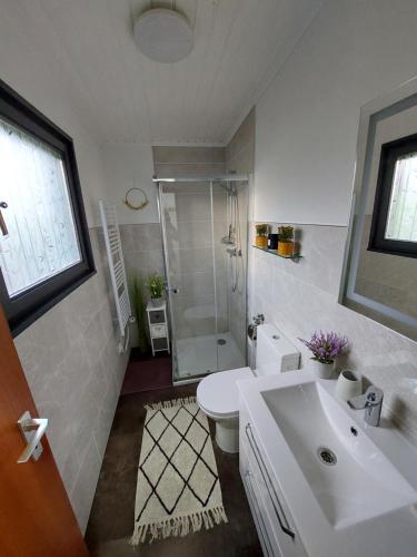 a bathroom with a sink and a toilet and a shower at Ferienhaus Eifel Nature Dream in Dockweiler