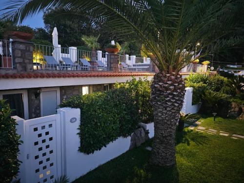 a palm tree in a yard next to a white fence at Grifo Hotel Charme & SPA in Ischia