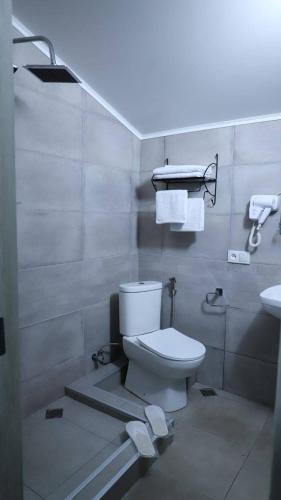 a bathroom with a toilet and a sink at Star Villa Bakuriani in Bakuriani