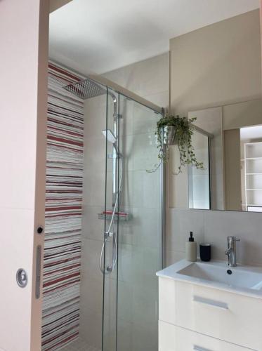 uma casa de banho com uma cabina de duche em vidro e um lavatório. em Villa baie du lac lagune em Biscarrosse