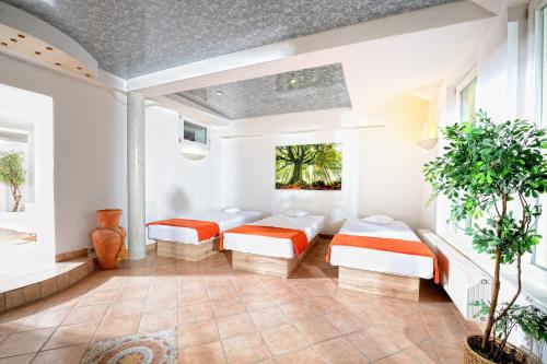 a room with two beds and a window at Wellnesshotel Rothfuß mit Spa und 2 Schwimmbädern in Bad Wildbad