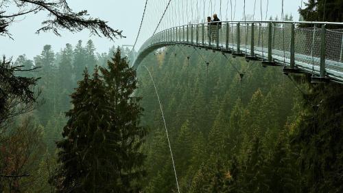 two people on a suspension bridge in the forest at Wellnesshotel Rothfuß mit Spa und 2 Schwimmbädern in Bad Wildbad