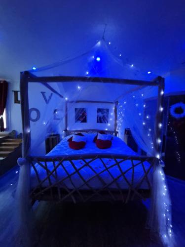 a bedroom with a bed covered in lights at Le Rêve de Lily in Les Vignères