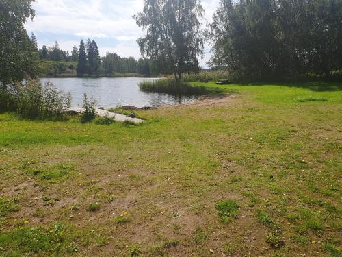 a grass field with a body of water and trees at Norrtälje in Norrtälje