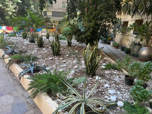 زافيرو الزمالك – Photos 3