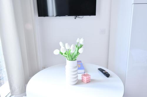 Studio 1 Pièce 20 m2