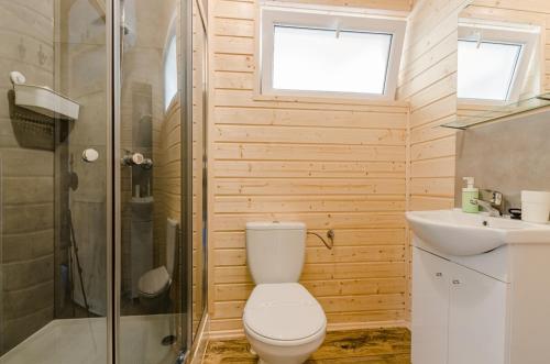 ein Bad mit einem WC, einem Waschbecken und einer Dusche in der Unterkunft BURSZTYNOWO Ośrodek Wczasowy in Sztutowo