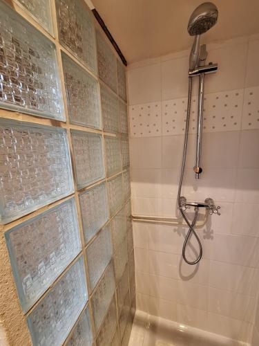 baño con ducha con mampara de cristal en la pared en Self Contained City Apartment, en Perpiñán