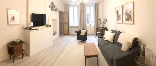 een woonkamer met een bank en een tv bij Elegant Apartment in Historic Center of Tournon in Tournon-sur-Rhône