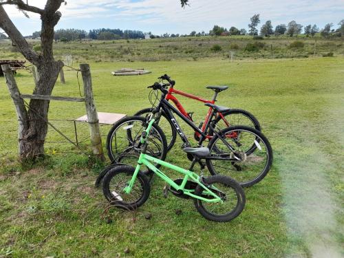 Jízda na kole v ubytování Chacra Lavanda Casas de Campo, 1 dormitorio nebo okolí