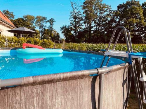 a swimming pool with a water slide next to it at Prachtige vakantiewoning met weids uitzicht in Maldegem