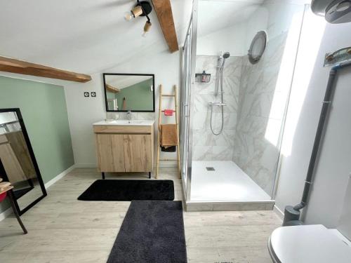a bathroom with a shower and a sink and a mirror at LES VIEUX PLATANES in La Crau