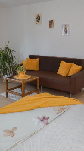 a living room with a couch and a bed at Apartmani Bubamara Leskovac in Leskovac