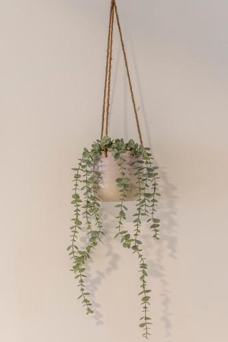 a potted plant hanging on a wall at Chalet Marias - Parede beach apartments in Parede