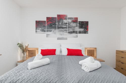 a bedroom with a large bed with red pillows at Roomfall Apartment Sinsheim mit TG & Wi-Fi & Balkon in Sinsheim