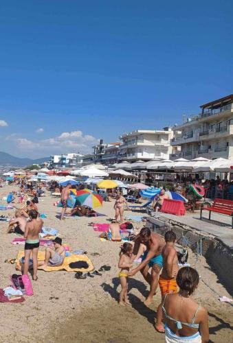 a crowd of people on a beach with umbrellas at Dellmar Apartment in Perea