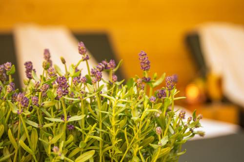 a bunch of purple flowers in a vase at Wellnessoase mitten in Triberg in Triberg