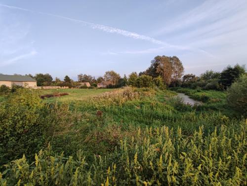 a field with a river in the middle at Tonkielek - Domek z Jacuzzi Nad Rzeką Bug in Tonkiele