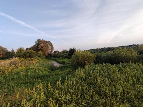 a path through a field with a river at Tonkielek - Domek z Jacuzzi Nad Rzeką Bug in Tonkiele