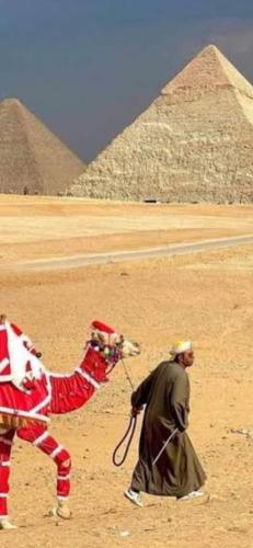 غرفة سكنية القاهرة – Photos 2