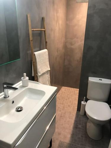 une salle de bain avec un lavabo blanc et des toilettes dans l'établissement Maison coeur de village Saint-Jean-de-Fos, à Saint-Jean-de-Fos