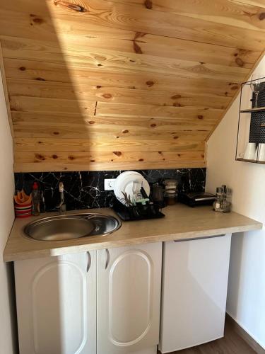 a kitchen with a sink and a wooden ceiling at Blue Village Lux in Kolašin