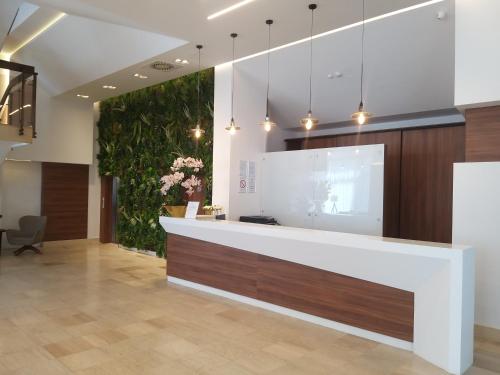 an office lobby with a reception counter and a plant at Prenoćište SRBIJA in Surdulica