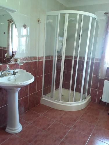 y baño con ducha y lavamanos. en Doonard Manor B&B en Craughwell