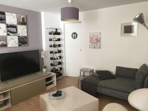 ein Wohnzimmer mit einem Sofa und einem Flachbild-TV in der Unterkunft T2 St Martin du Touch AIRBUS Quiet and spacious in Toulouse