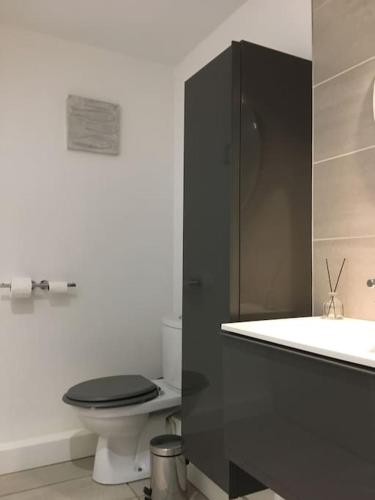La salle de bains est pourvue de toilettes noires et d'un lavabo. dans l'établissement T2 St Martin du Touch AIRBUS Quiet and spacious, à Toulouse